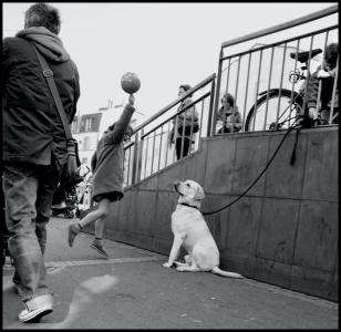 La petite fille  le chien et le ballon